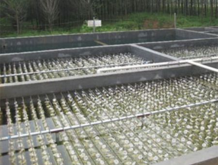 點擊查看詳細信息<br>標題：養殖污水處理 閱讀次數：3779